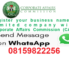 CAC business name registration in Marte, Borno State, Nigeria