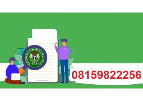CAC Limited Liability Company annual return in Garki I, Abuja FCT State